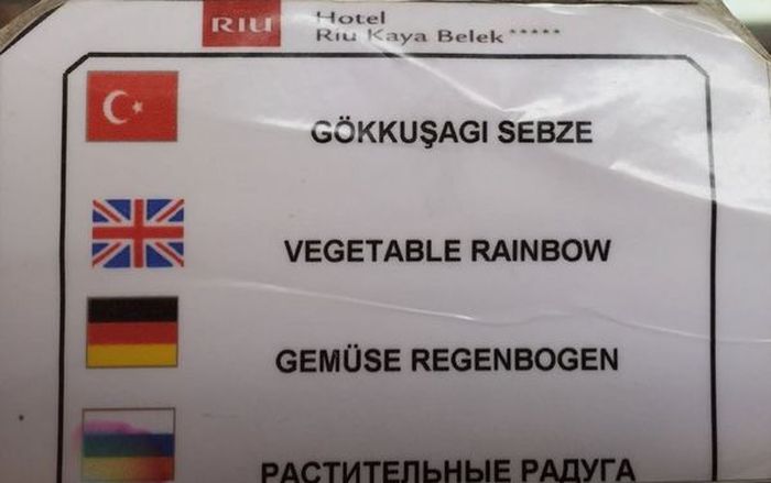     G20 (4 )