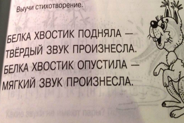18 умопомрачительных ляпов из школьных учебников (19 фото) 18 умопомрачительных ляпов из школьных учебников (19 фото)