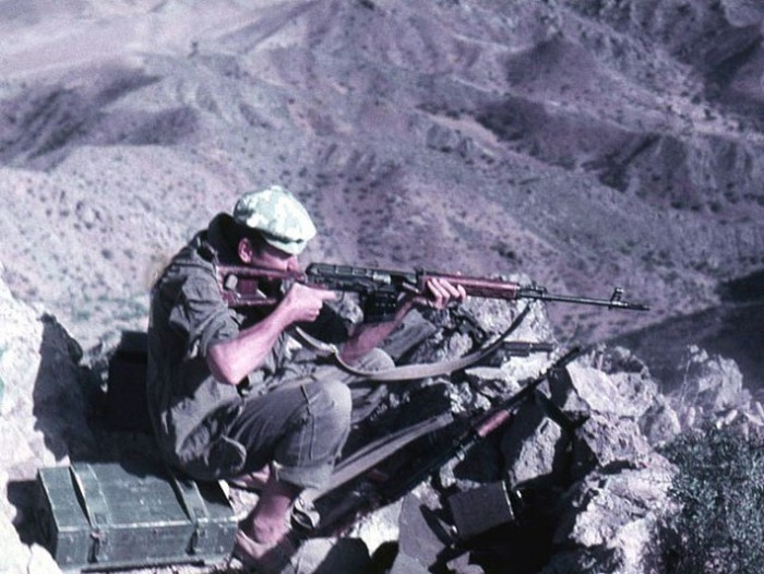    , 1979 - 1989 . (28 )