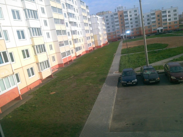 В Белоруссии на автомобиль сбросили два кочана капусты (10 фото) В Белоруссии на автомобиль сбросили два кочана капусты (10 фото)