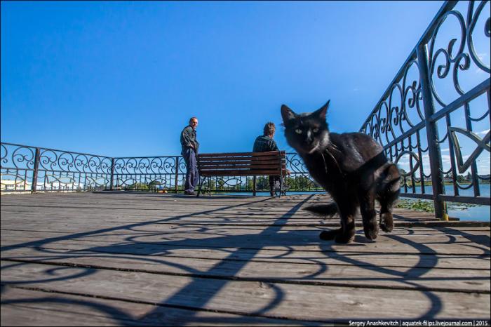 Как выглядит город, в котором мэр не ворюга (35 фото) Как выглядит город, в котором мэр не ворюга (35 фото)