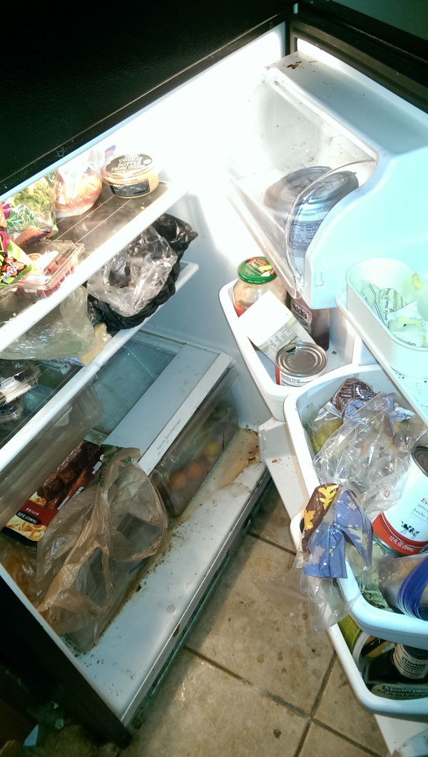 В такой холодильник мало кто рискнет положить свои продукты (7 фото) В такой холодильник мало кто рискнет положить свои продукты (7 фото)