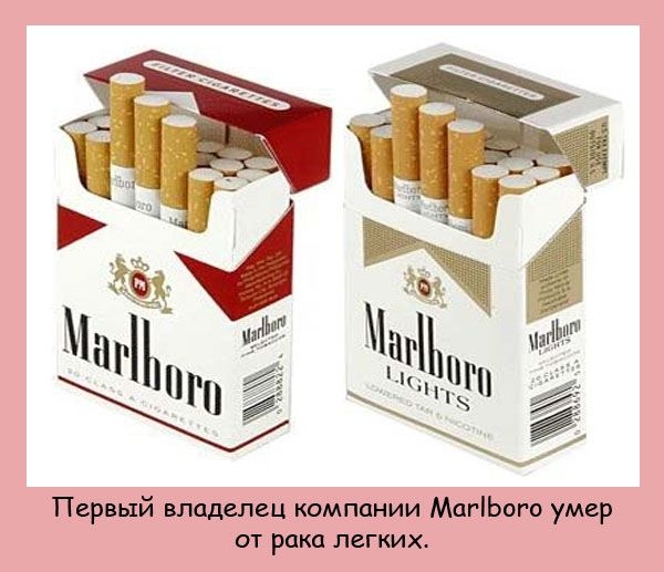 Интересные факты (20 фото) Интересные факты (20 фото)