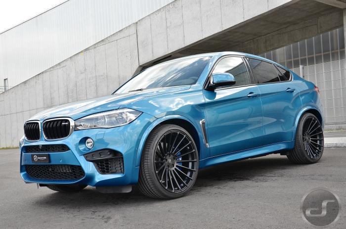 Hamann  BMW X6 M (10 )