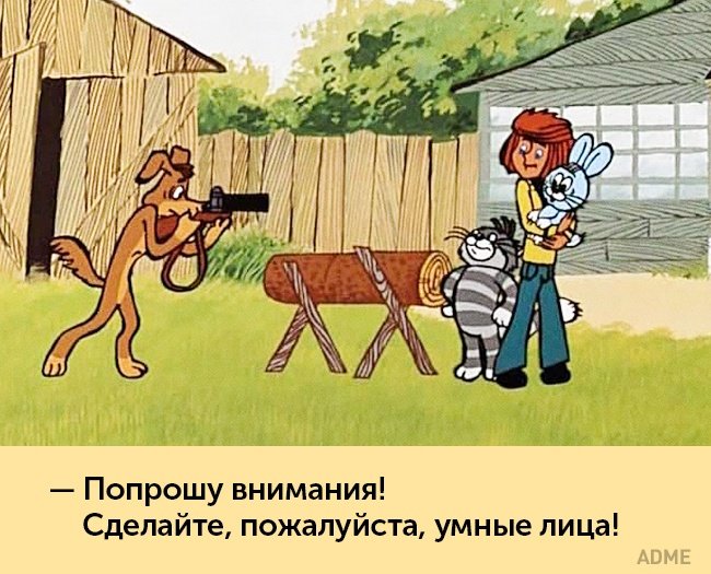      (8 )