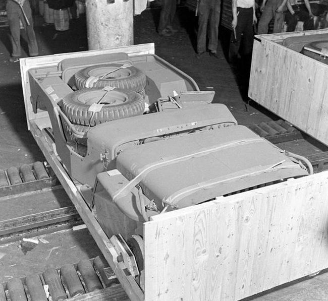 Willys MB Jeep     (12 )