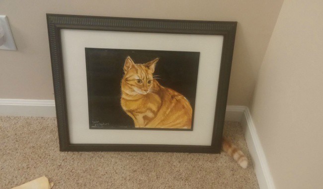  ,      (19 )