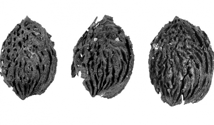    2015  (10 )