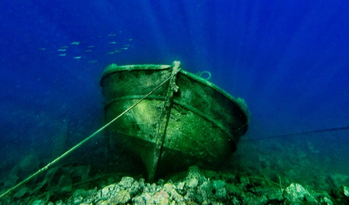    2015  (10 )