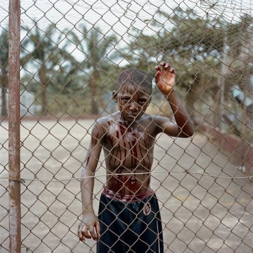  Nollywood (37 )