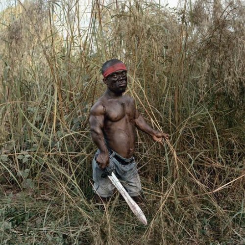  Nollywood (37 )