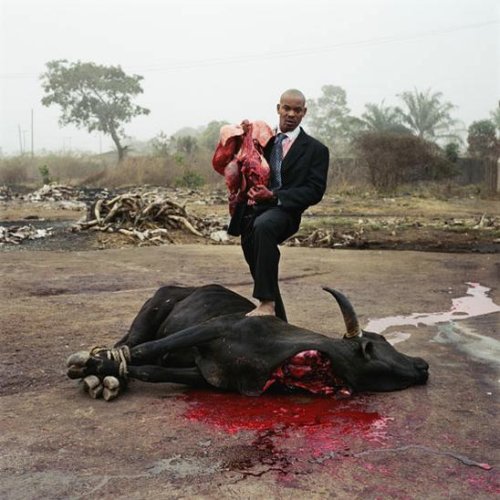  Nollywood (37 )