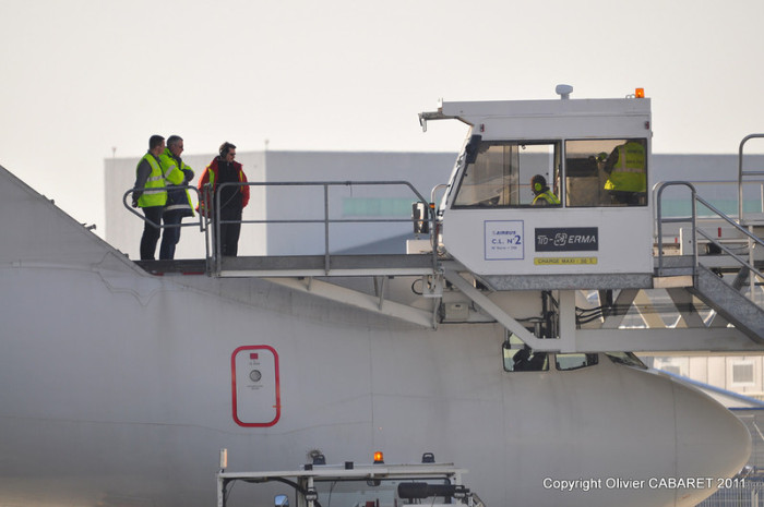 Airbus Beluga -   (11 )