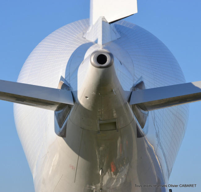 Airbus Beluga -   (11 )