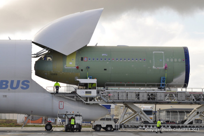 Airbus Beluga -   (11 )