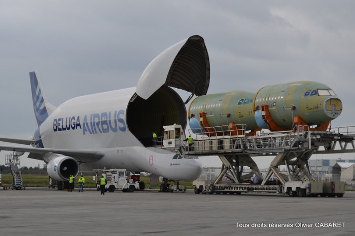 Airbus Beluga -   (11 )