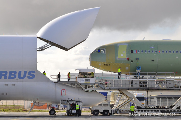 Airbus Beluga -   (11 )