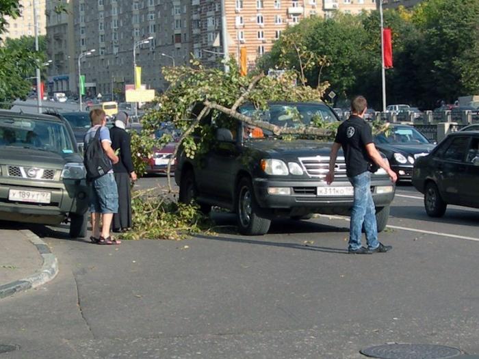 Божья кара (2 фото) Божья кара (2 фото)