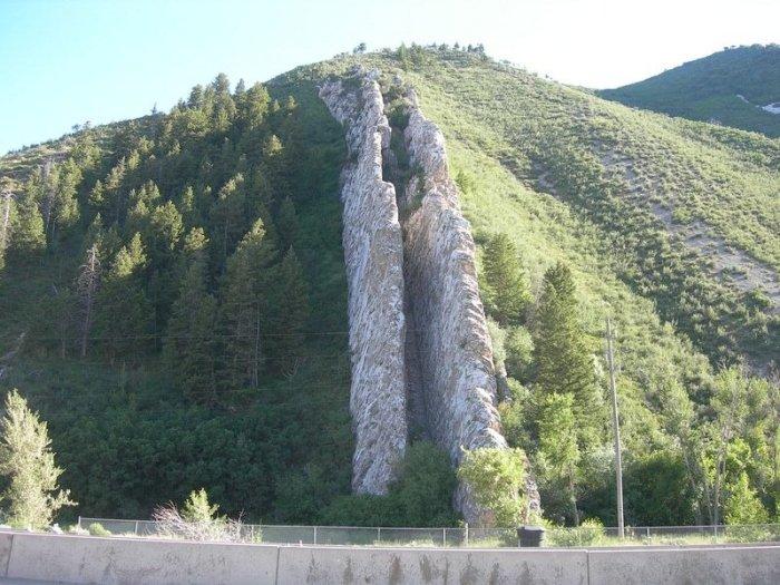        (5 )