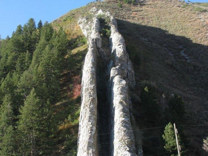        (5 )