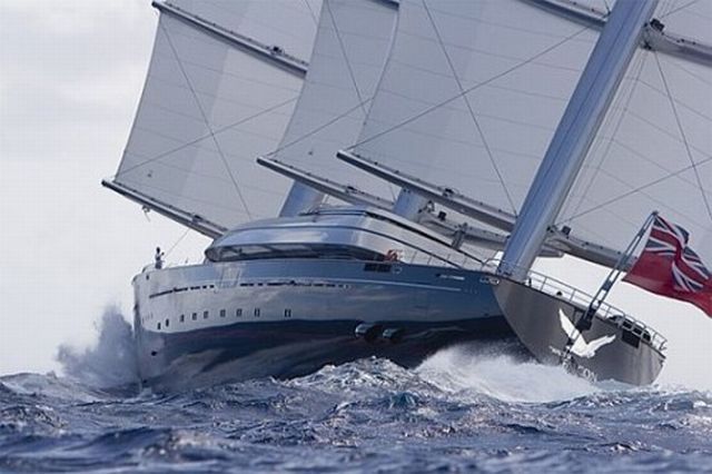   Maltese Falcon (28 )