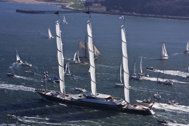   Maltese Falcon (28 )