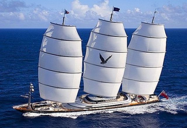   Maltese Falcon (28 )