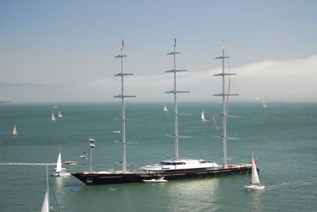   Maltese Falcon (28 )