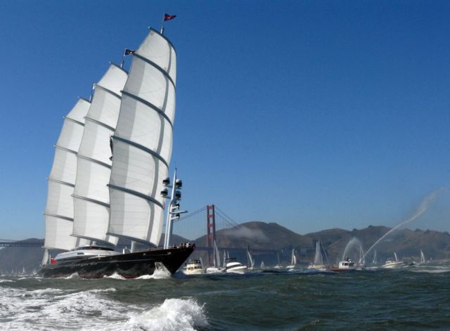   Maltese Falcon (28 )