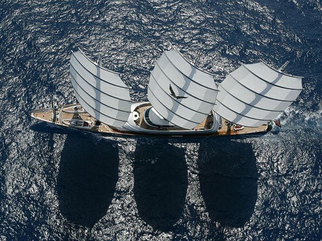   Maltese Falcon (28 )