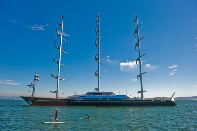   Maltese Falcon (28 )