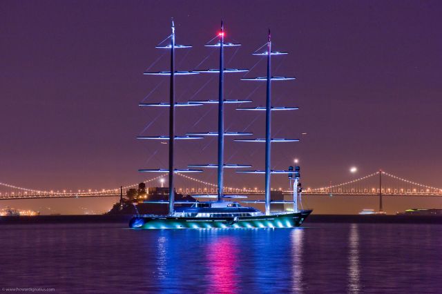   Maltese Falcon (28 )
