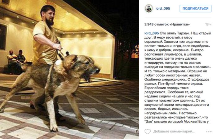 Спикер пригрозил оппозиционерам овчаркой Кадырова (2 фото) Спикер пригрозил оппозиционерам овчаркой Кадырова (2 фото)