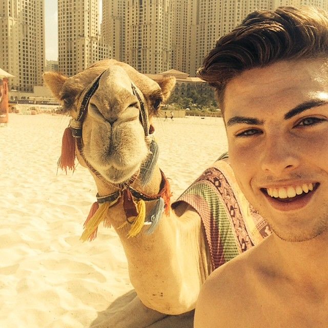     Kinde   Instagram (8 )