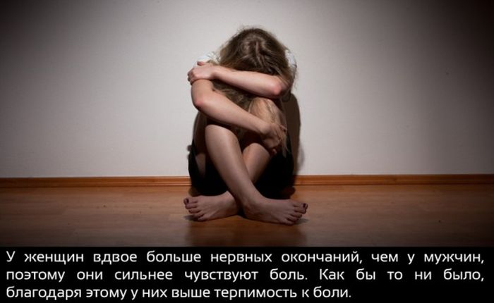 Интересные факты обо всем на свете (20 фото) Интересные факты обо всем на свете (20 фото)