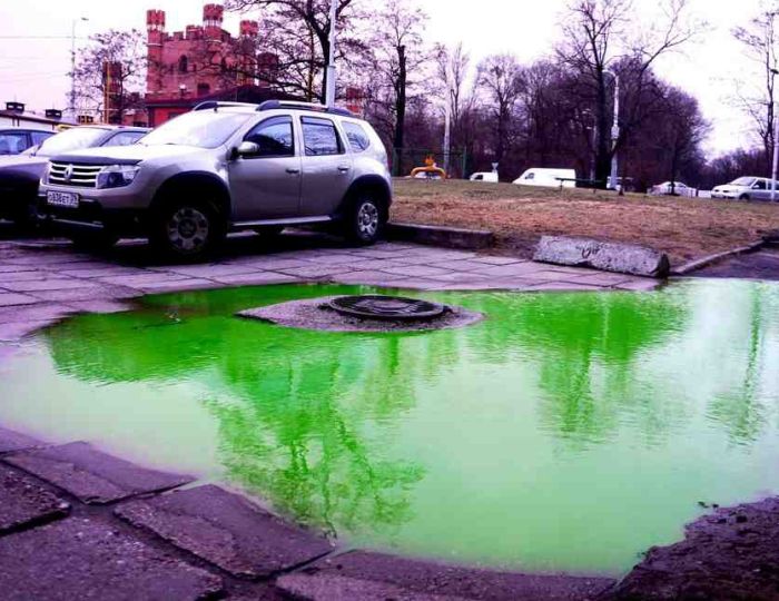 В центре Калининграда появились ярко-зеленые лужи (2 фото) В центре Калининграда появились ярко-зеленые лужи (2 фото)
