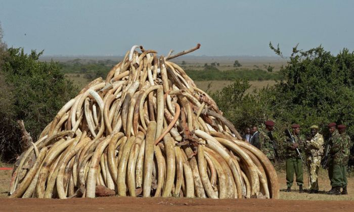 Самые постыдные вещи из истории Католической церкви (12 фото) Самые постыдные вещи из истории Католической церкви (12 фото)