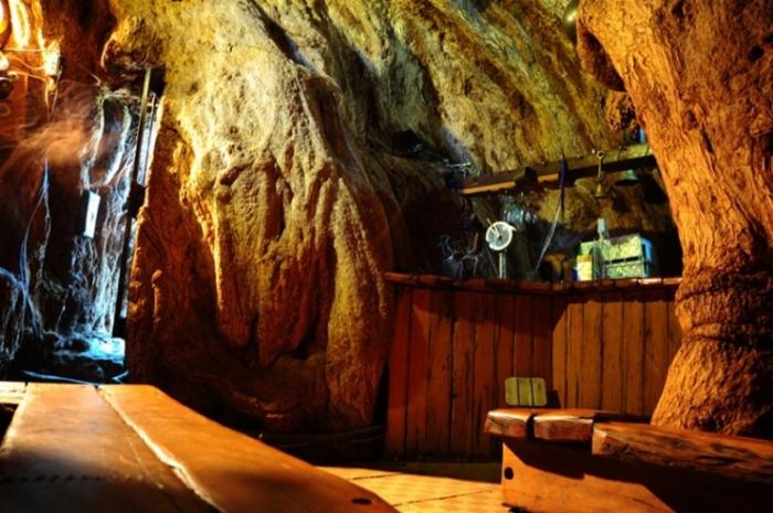 Паб внутри 6000-летнего баобаба (8 фото) Паб внутри 6000-летнего баобаба (8 фото)