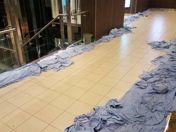  Anthem of the Seas     (21 )