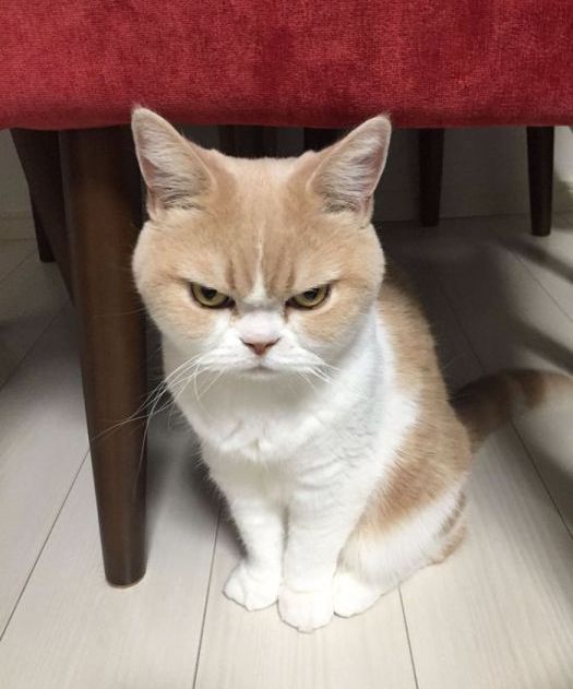  -   ,    (14 )