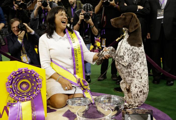   Westminster Kennel Club 2016 (18 )