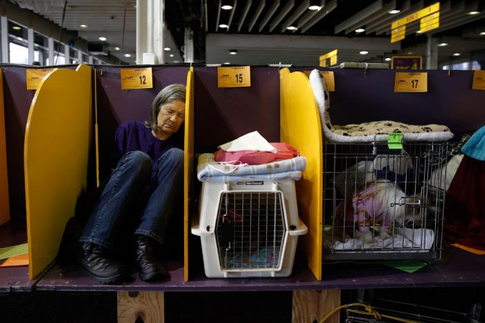  Westminster Kennel Club 2016 (18 )