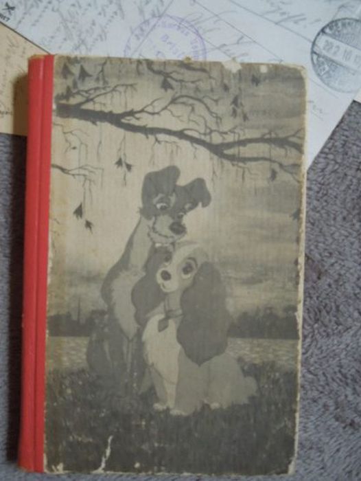      (11 )