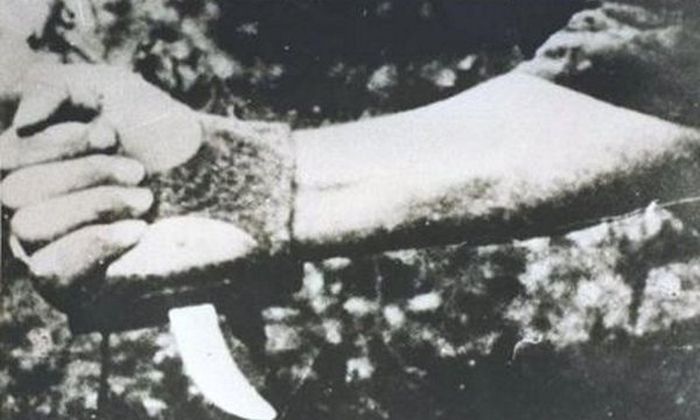    (11 )