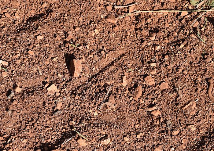 Искусно замаскированные мины (15 фото) Искусно замаскированные мины (15 фото)