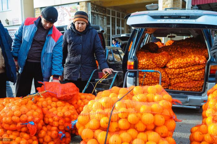 Сочи. Про красоту природы, лыжи и высокие скорости (43 фото) Сочи. Про красоту природы, лыжи и высокие скорости (43 фото)