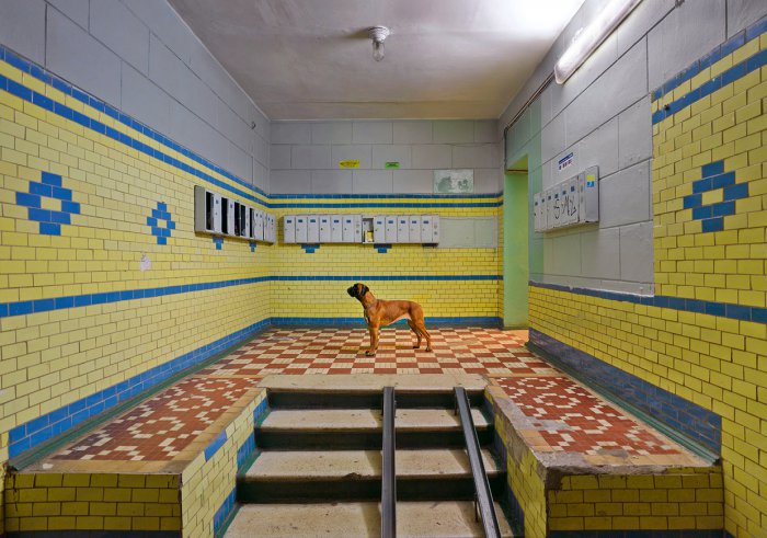 Контрастная Россия Франка Херфорта (26 фото) Контрастная Россия Франка Херфорта (26 фото)