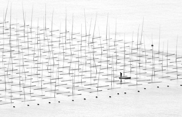   2015    Sony World Photography Awards (15 )