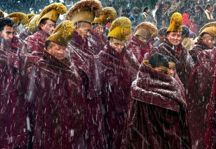   2015    Sony World Photography Awards (15 )