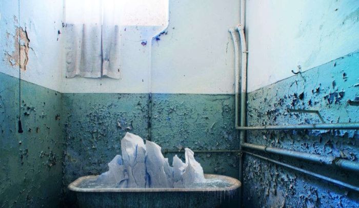   2015    Sony World Photography Awards (15 )